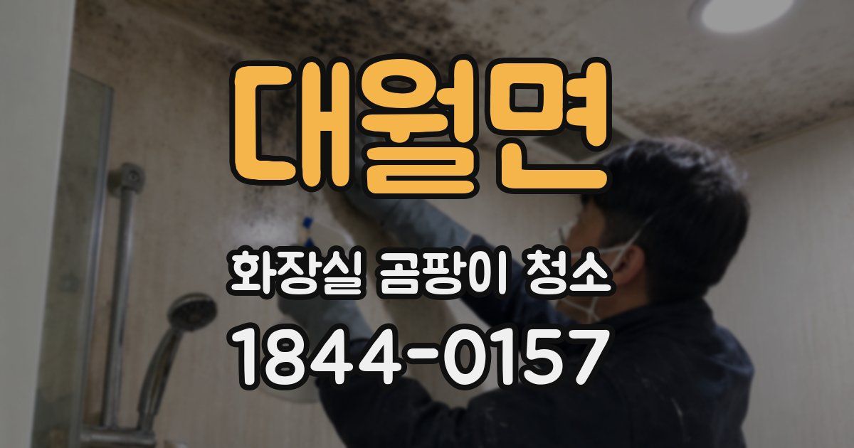대월면 화장실 곰팡이 청소