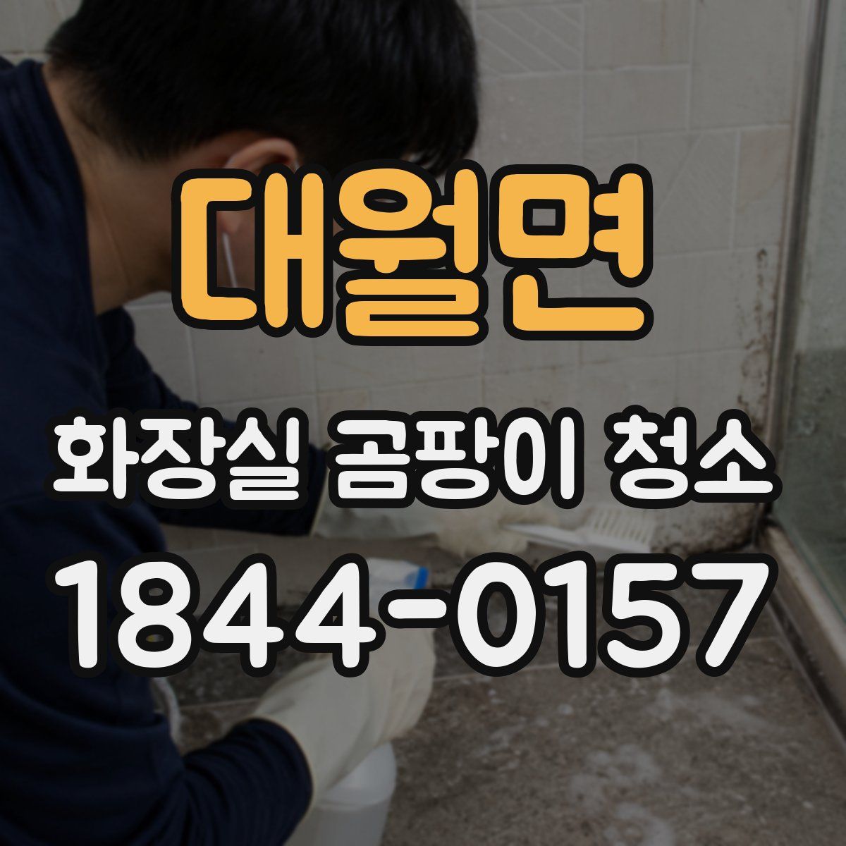 대월면 화장실 곰팡이 청소