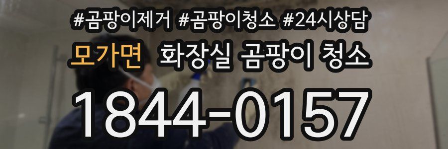모가면 화장실 곰팡이 청소