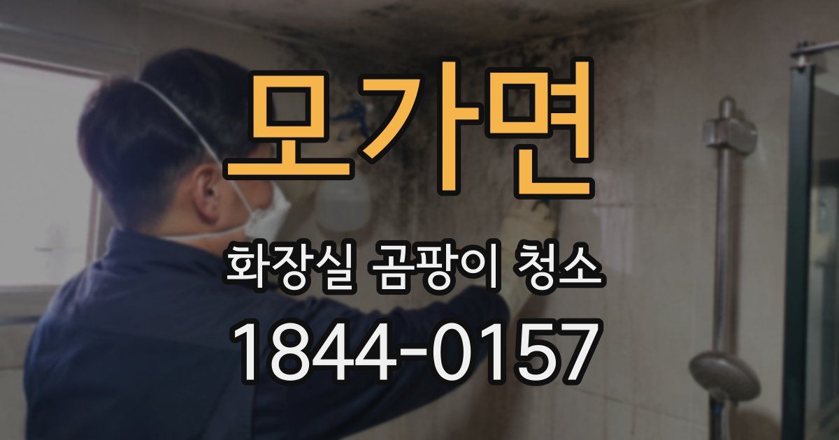 모가면 화장실 곰팡이 청소