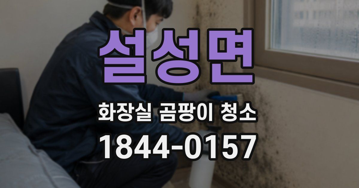 설성면 화장실 곰팡이 청소