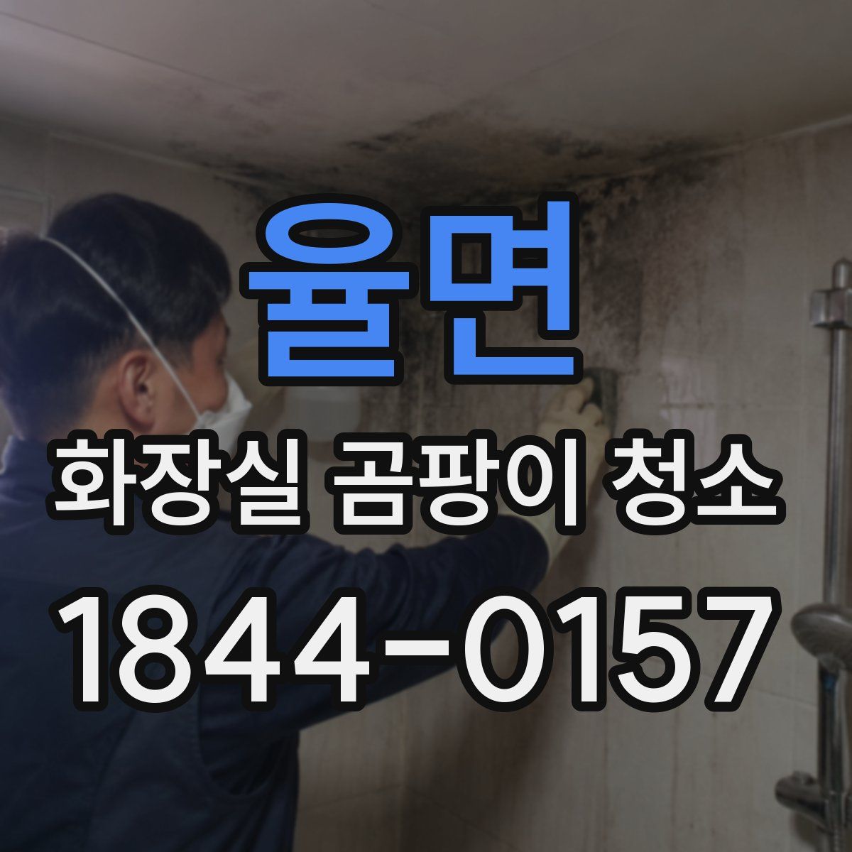 율면 화장실 곰팡이 청소