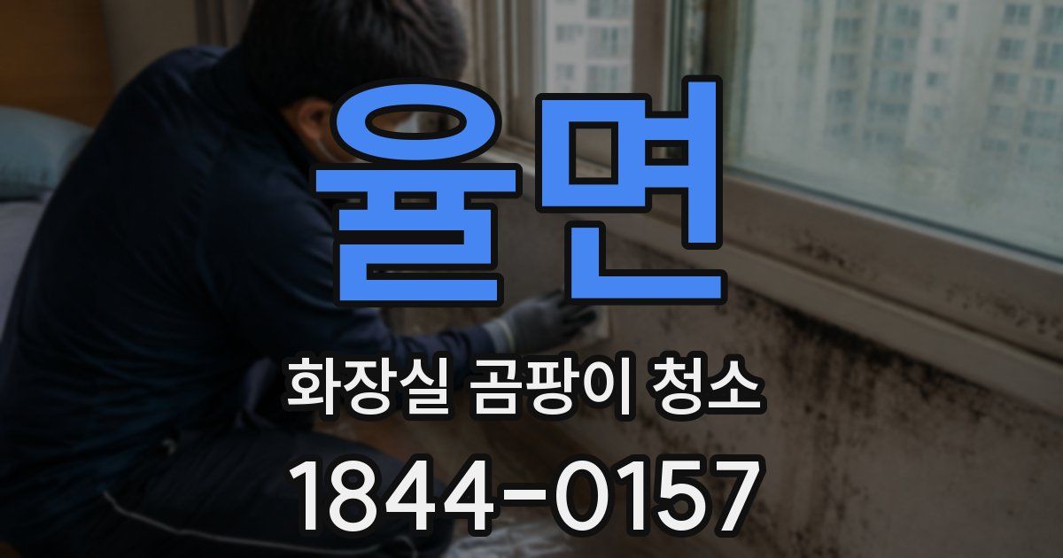 율면 화장실 곰팡이 청소