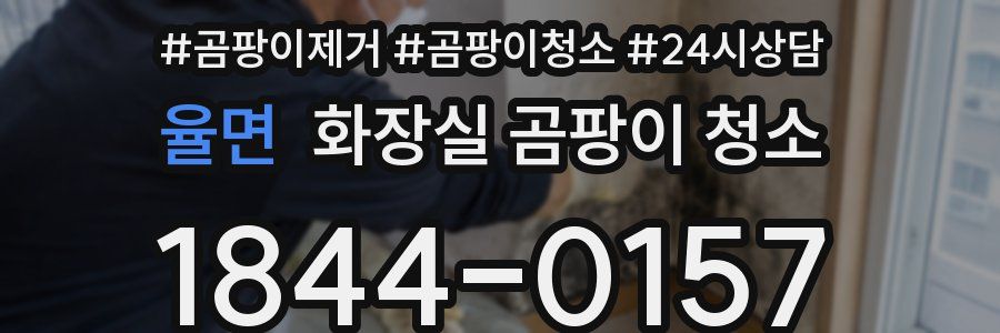 율면 화장실 곰팡이 청소