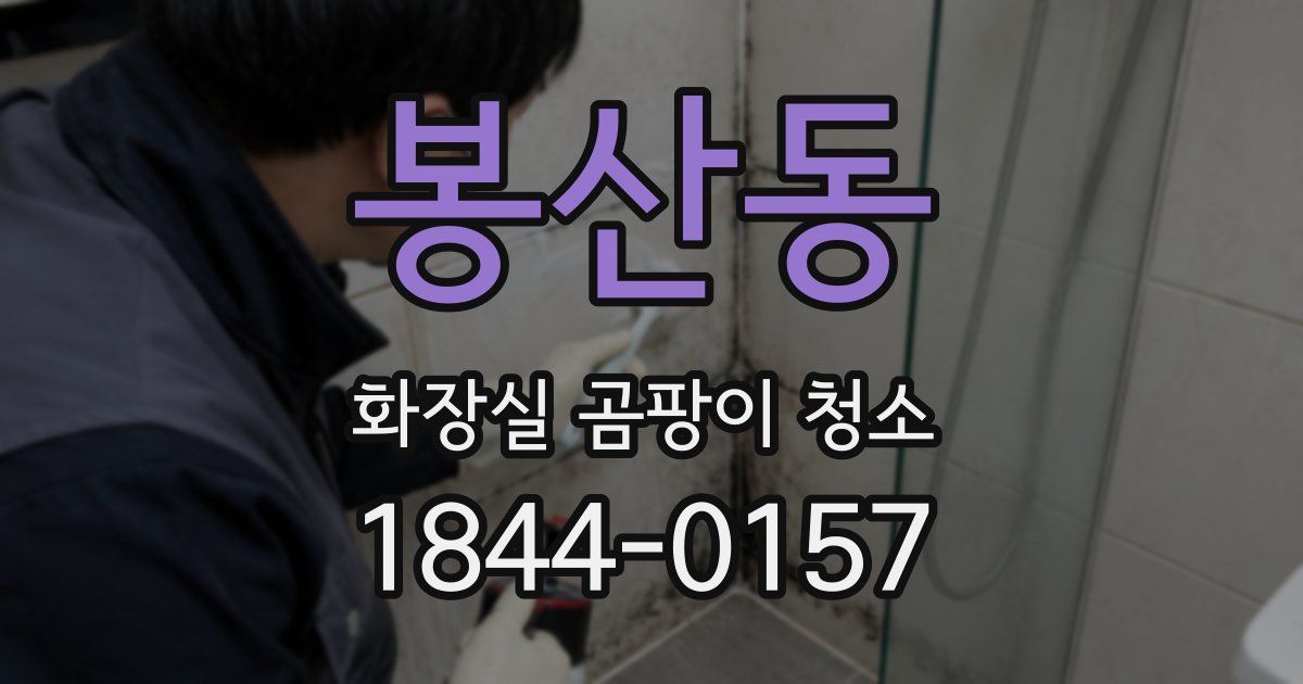 봉산동 화장실 곰팡이 청소