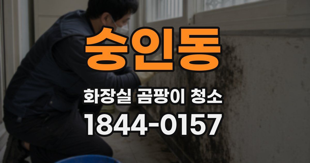숭인동 화장실 곰팡이 청소