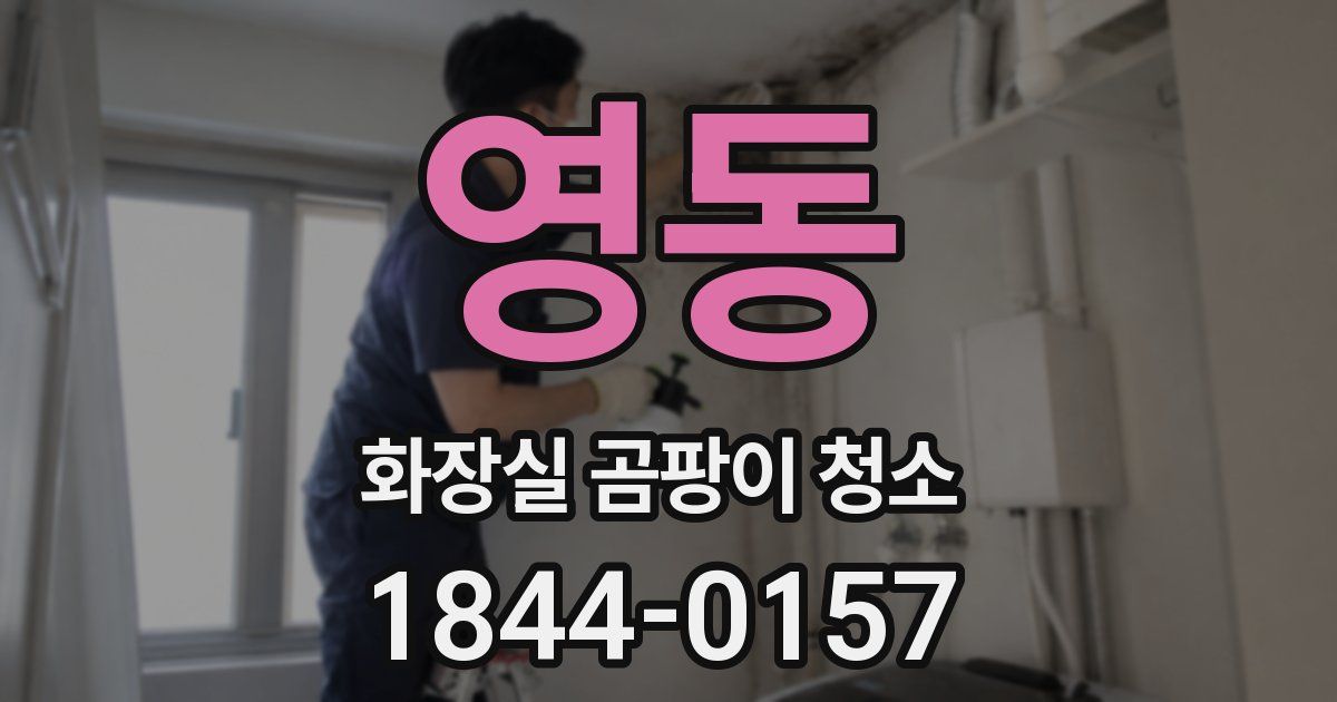 영동 화장실 곰팡이 청소