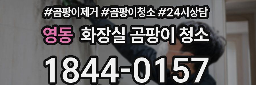 영동 화장실 곰팡이 청소