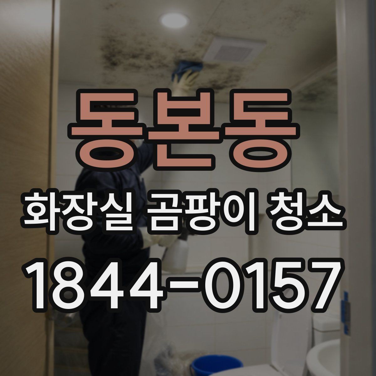 동본동 화장실 곰팡이 청소 벽면과 타일 경계선에서 보는 포인트