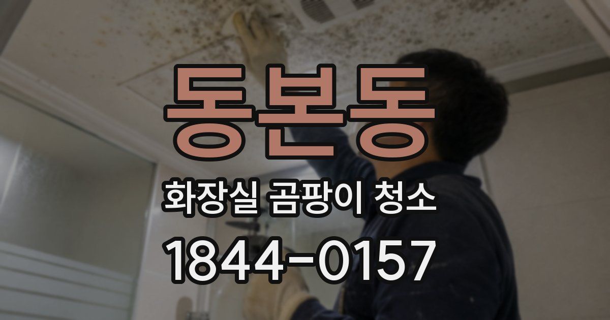 동본동 화장실 곰팡이 청소