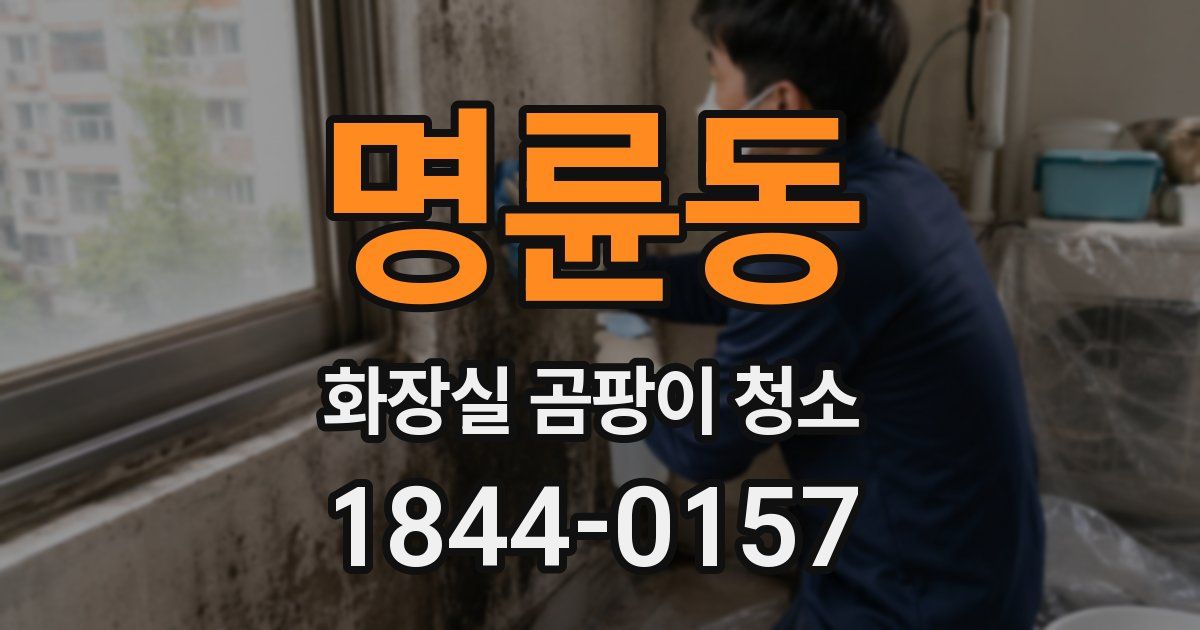 명륜동 화장실 곰팡이 청소