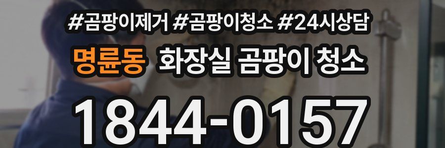 명륜동 화장실 곰팡이 청소