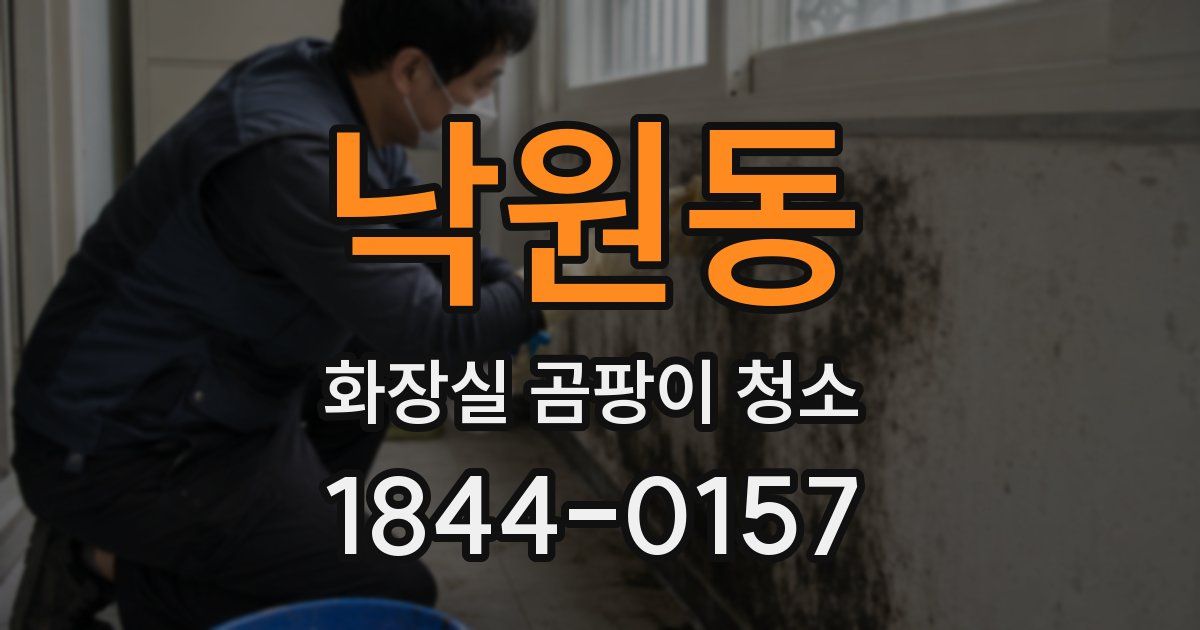 낙원동 화장실 곰팡이 청소