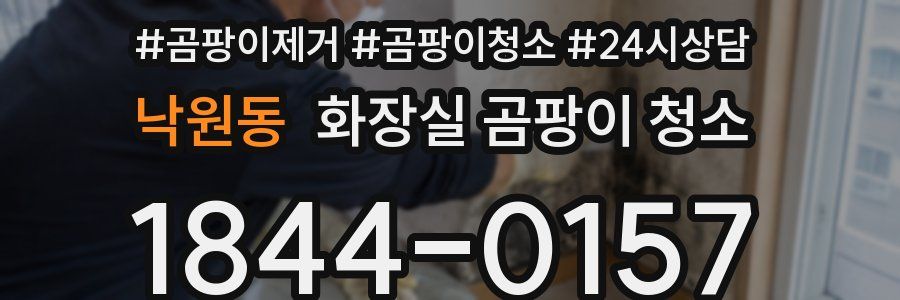 낙원동 화장실 곰팡이 청소