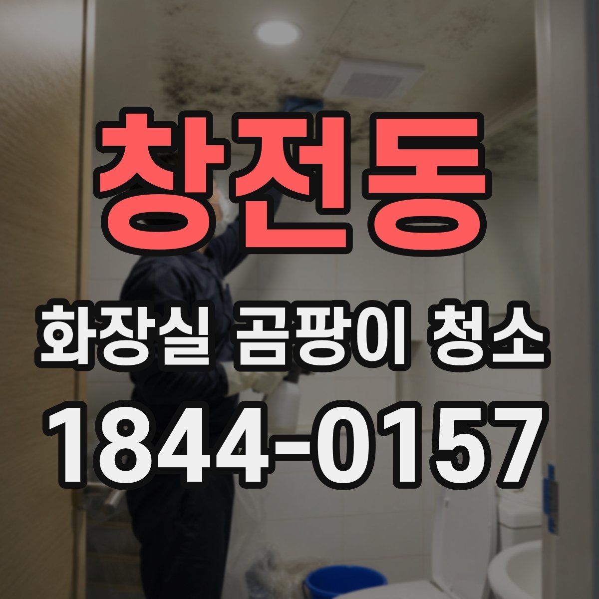 창전동 화장실 곰팡이 청소