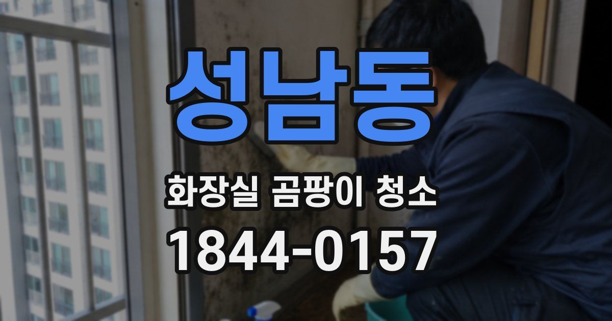 성남동 화장실 곰팡이 청소