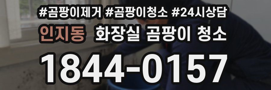 인지동 화장실 곰팡이 청소
