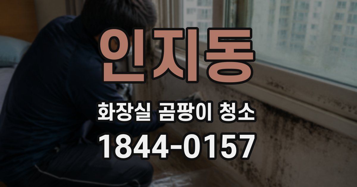 인지동 화장실 곰팡이 청소