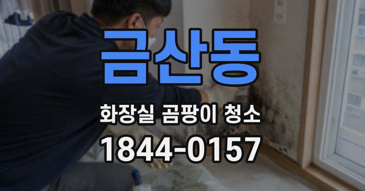 금산동 화장실 곰팡이 청소