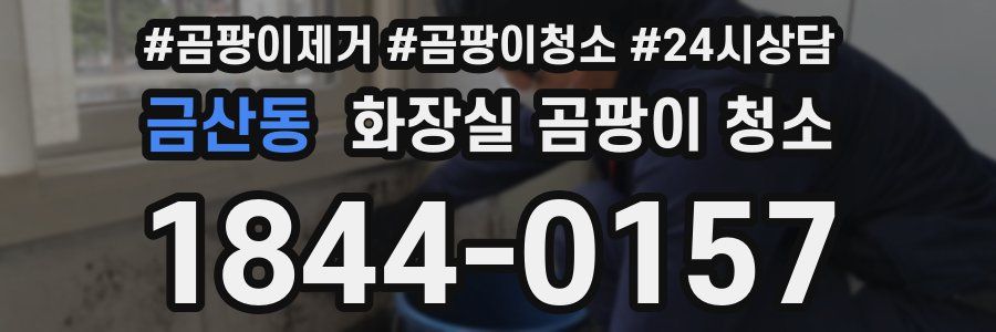 금산동 화장실 곰팡이 청소