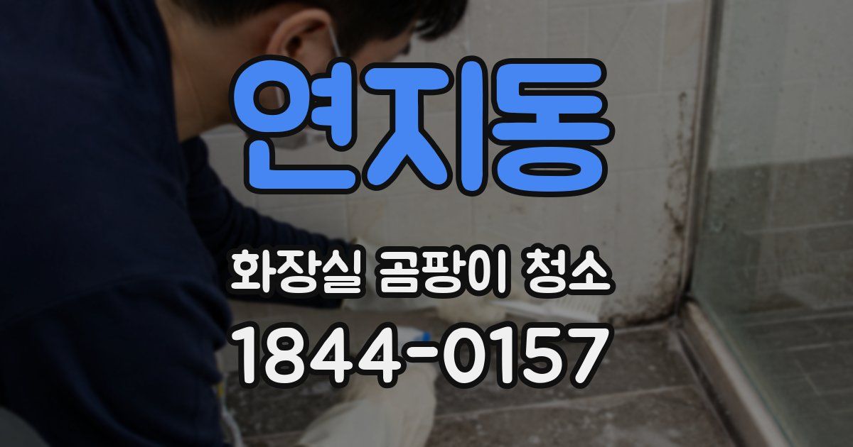 연지동 화장실 곰팡이 청소