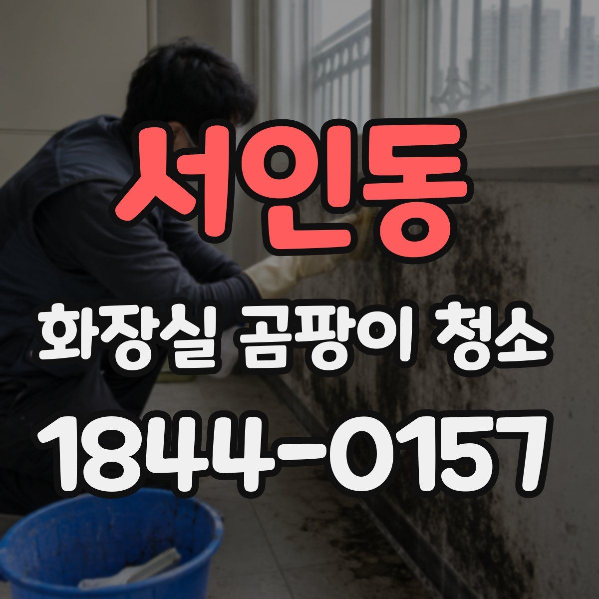 서인동 화장실 곰팡이 청소