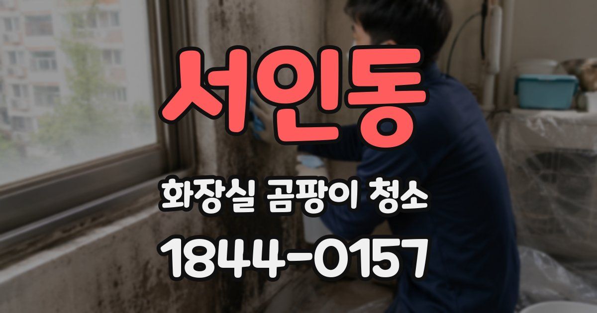 서인동 화장실 곰팡이 청소