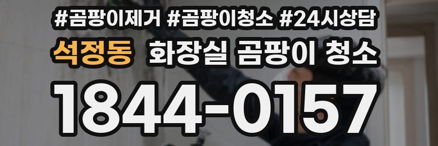 석정동 화장실 곰팡이 청소