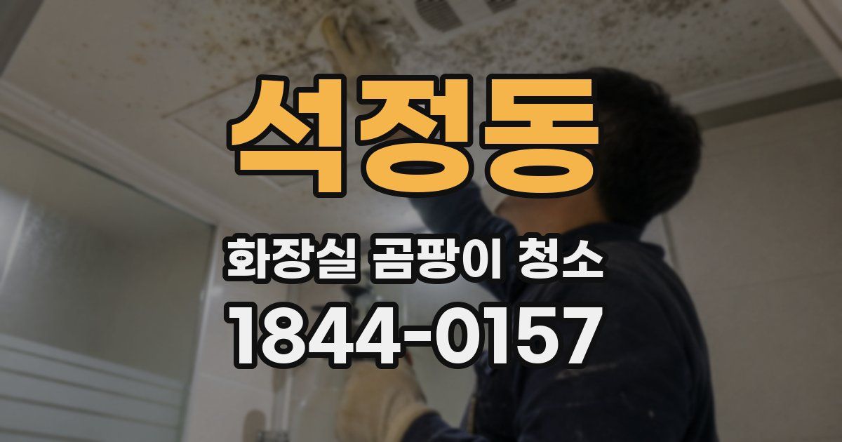 석정동 화장실 곰팡이 청소