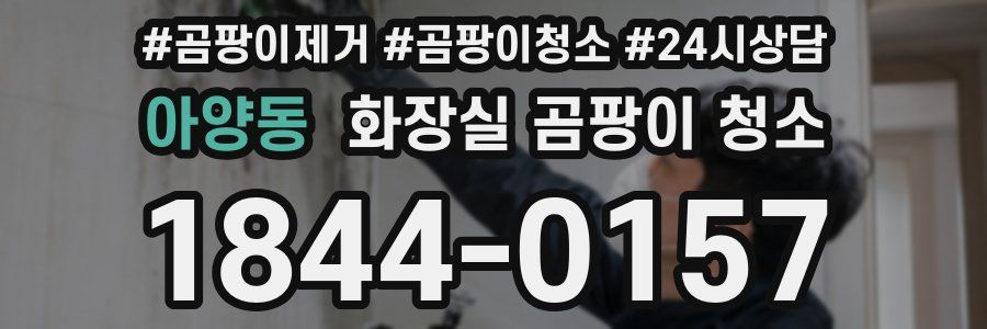 아양동 화장실 곰팡이 청소