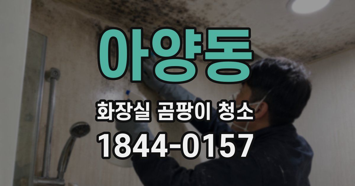 아양동 화장실 곰팡이 청소