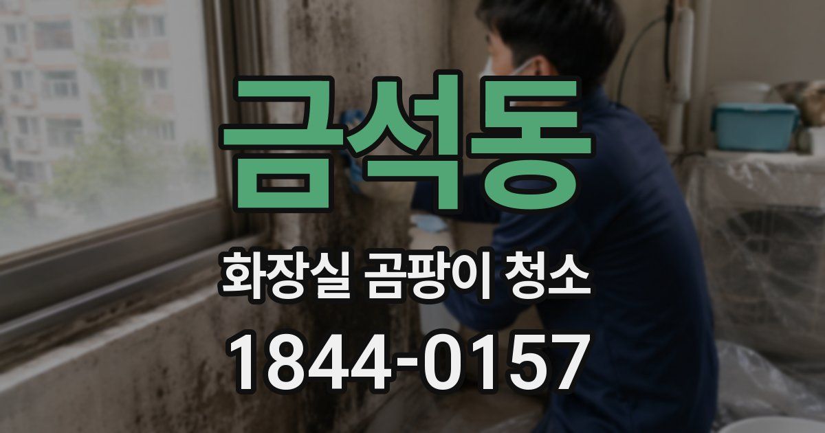 금석동 화장실 곰팡이 청소