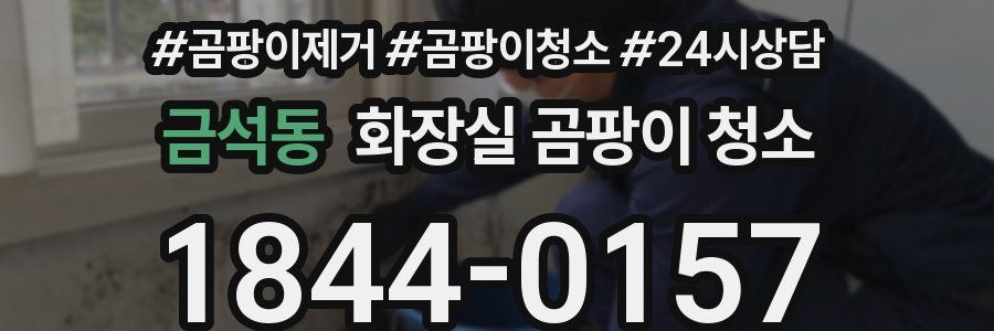금석동 화장실 곰팡이 청소