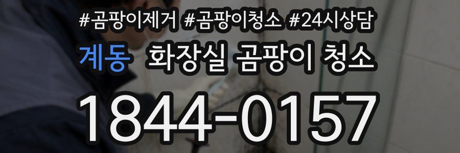 계동 화장실 곰팡이 청소