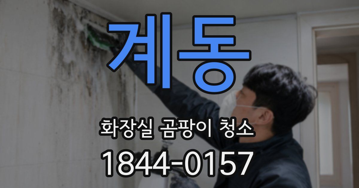 계동 화장실 곰팡이 청소
