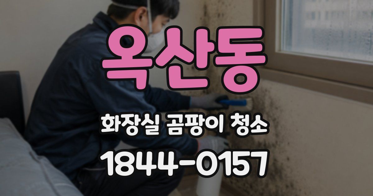 옥산동 화장실 곰팡이 청소