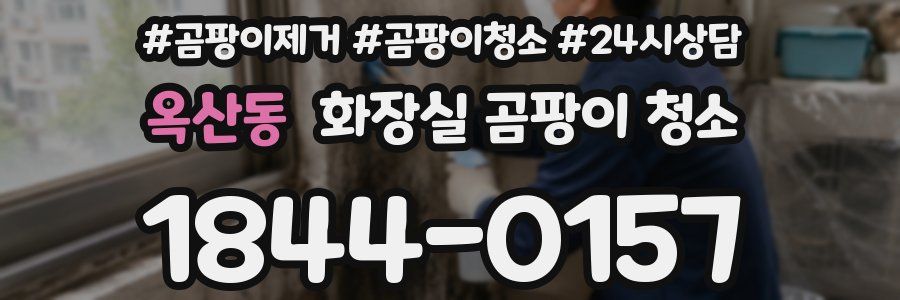 옥산동 화장실 곰팡이 청소