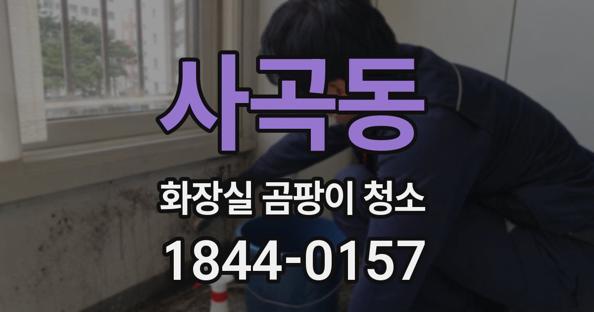 사곡동 화장실 곰팡이 청소