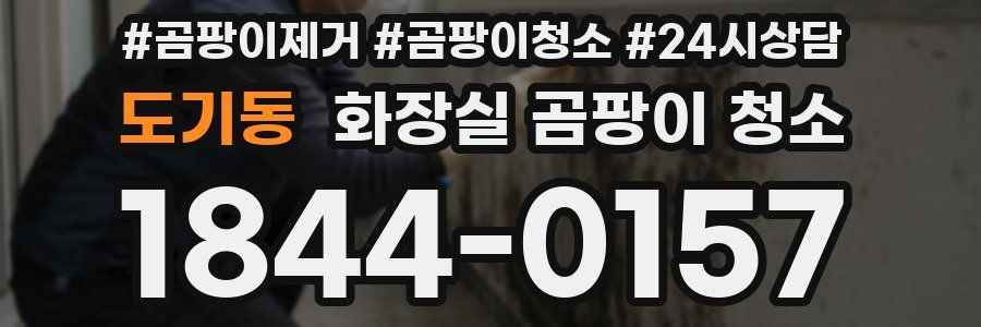 도기동 화장실 곰팡이 청소