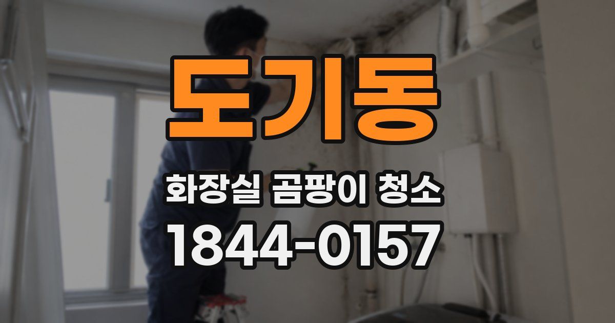 도기동 화장실 곰팡이 청소