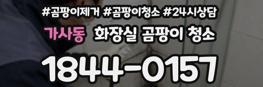 가사동 화장실 곰팡이 청소