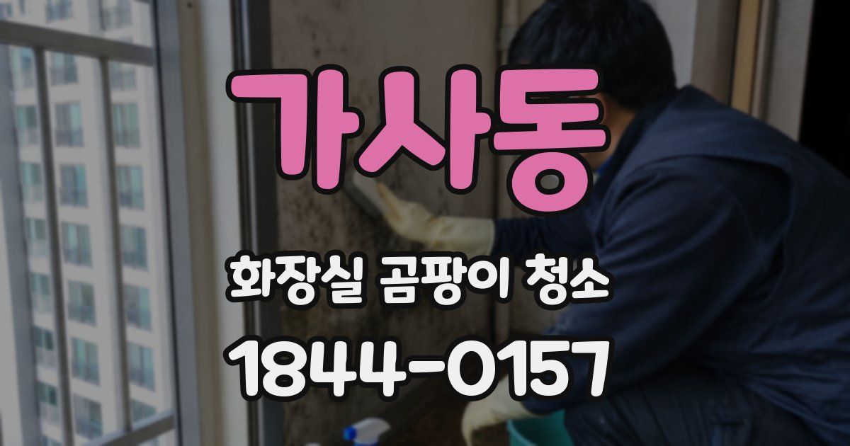 가사동 화장실 곰팡이 청소