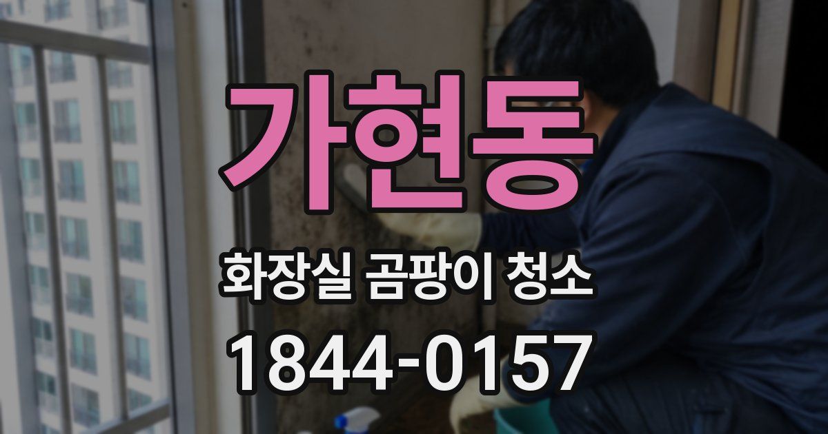가현동 화장실 곰팡이 청소