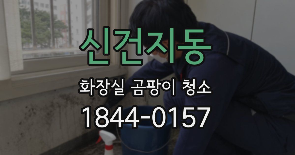 신건지동 화장실 곰팡이 청소