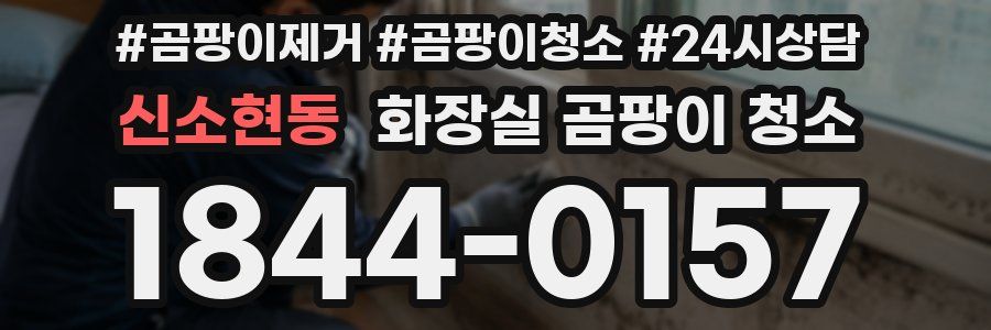 신소현동 화장실 곰팡이 청소