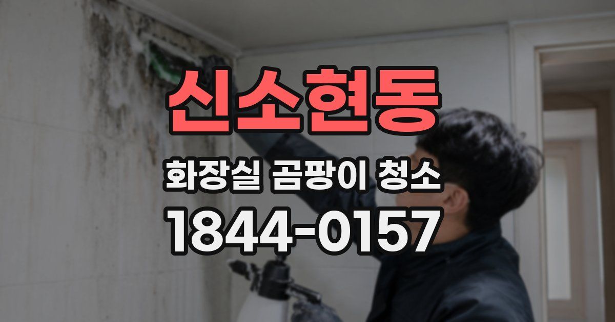 신소현동 화장실 곰팡이 청소