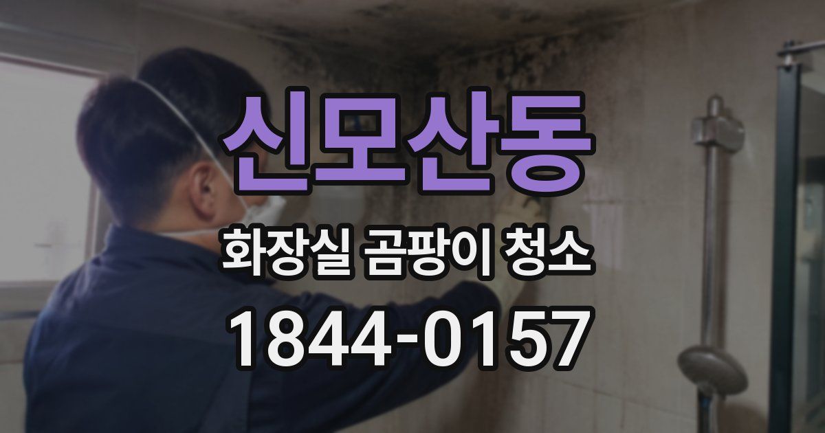 신모산동 화장실 곰팡이 청소