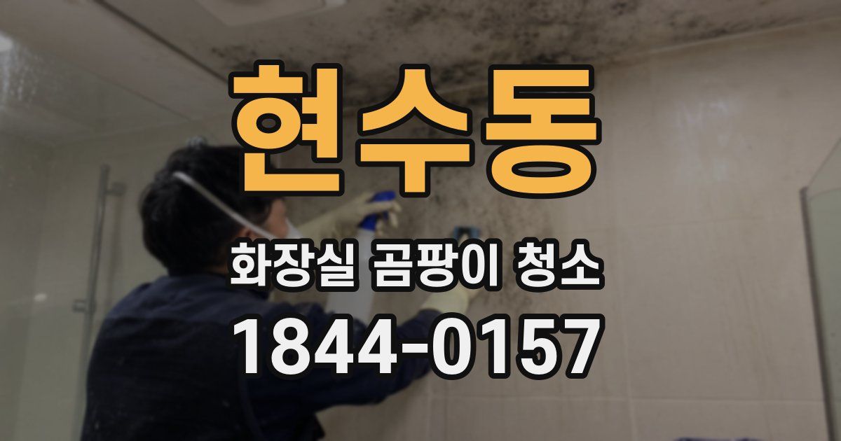 현수동 화장실 곰팡이 청소