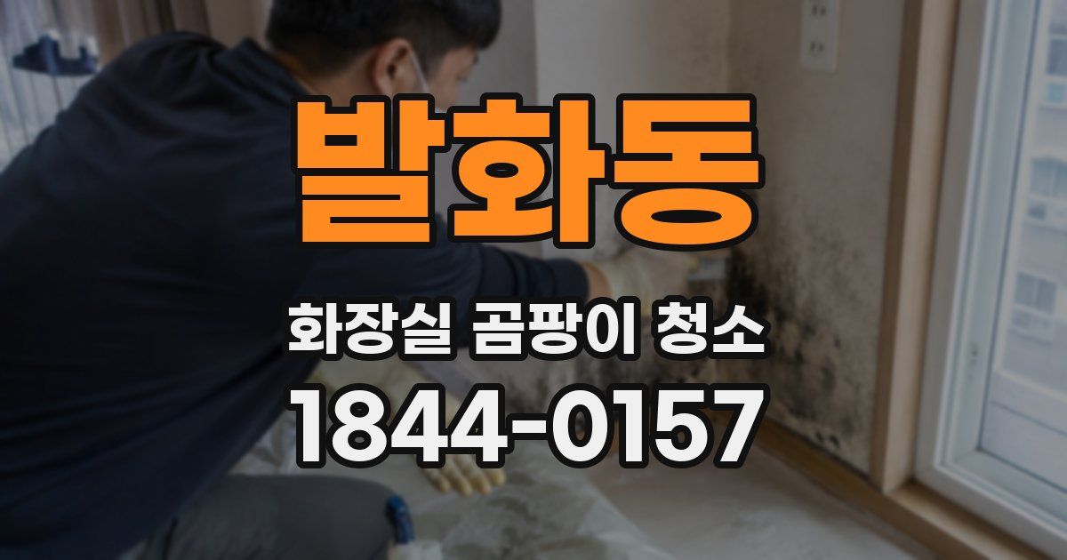 발화동 화장실 곰팡이 청소