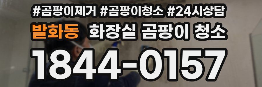 발화동 화장실 곰팡이 청소